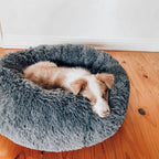 Calming Bed - Reduces Stress & Eases Anxiety