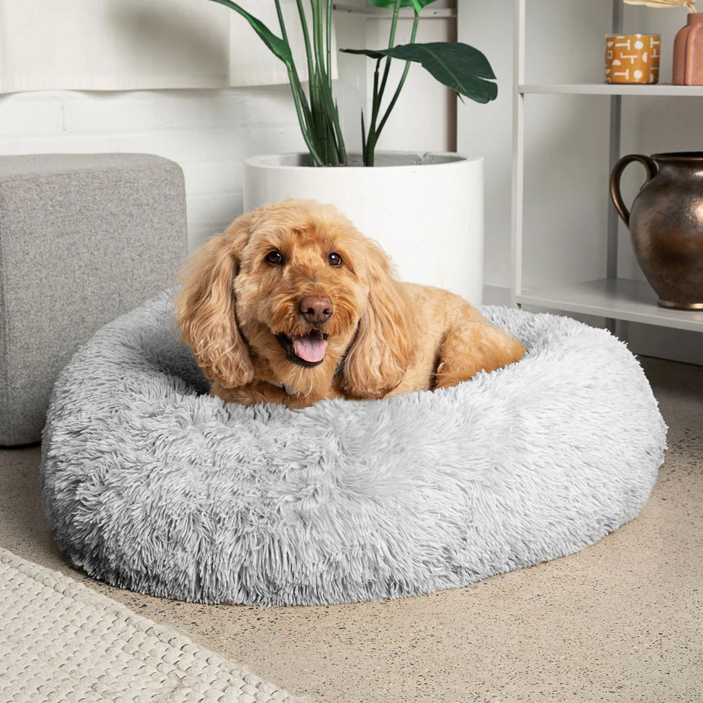Calming Bed - Reduces Stress & Eases Anxiety