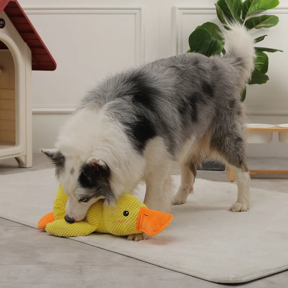 Anti - Stress Duck - PUPPYE