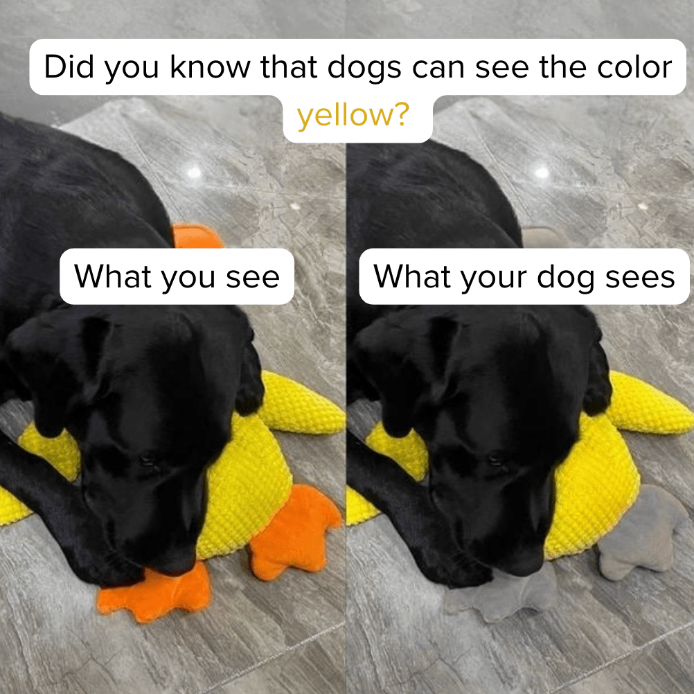 Anti - Stress Duck - PUPPYE