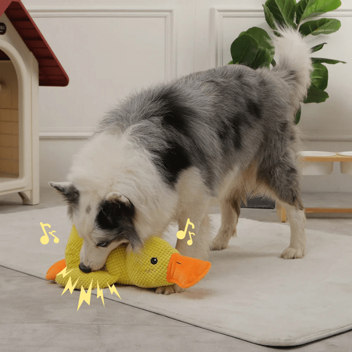 Anti - Stress Duck - PUPPYE