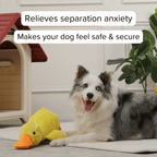 Anti - Stress Duck - PUPPYE